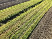 Terreno agricolo in vendita a Genova