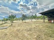 Terreno agricolo in vendita a Giaveno