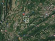 Terreno agricolo in vendita a Gradoli