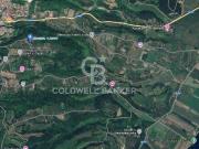 Terreno agricolo in vendita a Gradoli