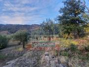 Terreno Agricolo in vendita a Graniti