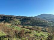 Terreno agricolo in vendita a Greve In Chianti