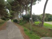 Terreno agricolo in Vendita a Grosseto