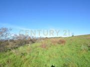Terreno agricolo in vendita a Grosseto