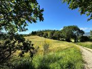Terreno agricolo in vendita a Gualdo Tadino