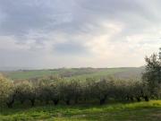 Terreno agricolo in Vendita a Guglionesi