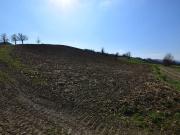 Terreno agricolo in vendita a Imola