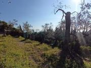 Terreno edificabile residenziale in vendita a Imperia