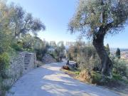 Terreno agricolo in vendita a Imperia