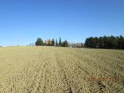 Terreno Agricolo in vendita a Jesi