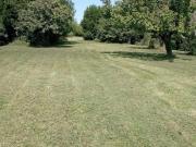 Terreno agricolo in vendita a La Vettola Pisa 3650 mq...