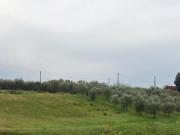 Terreno agricolo in vendita a Lamporecchio