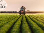 Terreno agricolo in vendita a L'Aquila