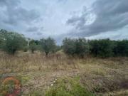 Terreno agricolo in Vendita a Latina