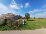 Terreno agricolo in vendita a Lecce