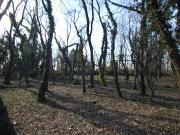 Terreno Agricolo in vendita a Legnano