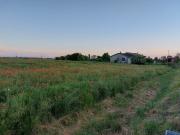 Terreno agricolo in Vendita a Lendinara