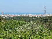 Terreno agricolo in vendita a Livorno