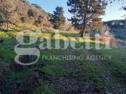 Terreno agricolo in vendita a Livorno