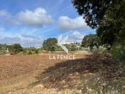 Terreno agricolo in Vendita a Locorotondo