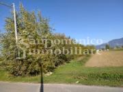 Terreno agricolo in vendita a Lucca