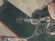 Terreno agricolo in vendita a Macerata