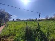 Terreno agricolo in Vendita a Maenza