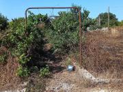 Terreno Agricolo in vendita a Maglie