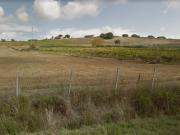 Terreno agricolo in Vendita a Manciano