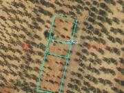 Terreno agricolo in vendita a Manduria