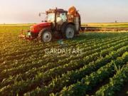 TERRENO AGRICOLO IN VENDITA A MANERBA DEL GARDA