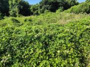 Terreno agricolo in vendita a Marcianise