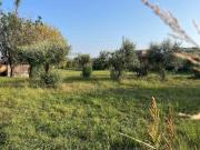 Terreno agricolo in vendita a Quercioli Massa 2370 mq...