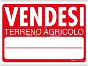 Terreno agricolo in vendita a Massa