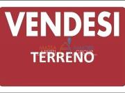 Terreno agricolo in vendita a Massa