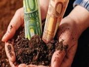 Terreno agricolo in vendita a Massa Fermana