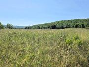 Terreno agricolo in Vendita a Massa Marittima