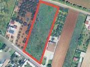 Terreno agricolo in vendita a Mazara Del Vallo