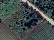 Terreno agricolo in vendita a Mazara Del Vallo