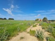 Terreno agricolo in vendita a Mazara Del Vallo
