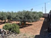 Terreno agricolo in Vendita a Mazara del Vallo