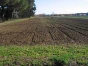 Terreno agricolo in vendita a Mazara Del Vallo