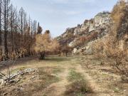 Terreno Agricolo in vendita a Melilli