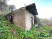 Terreno agricolo in vendita a Messina