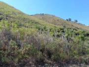 Terreno agricolo in vendita a Messina