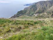 Terreno agricolo in vendita a Messina