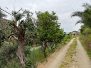 Terreno agricolo in vendita a Messina
