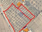 Terreno agricolo in vendita a Miglianico