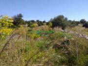 Terreno agricolo in vendita a Modica