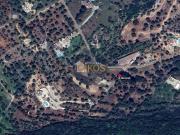 Terreno Agricolo in vendita a Monopoli